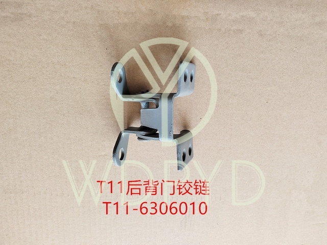 T11-6306010